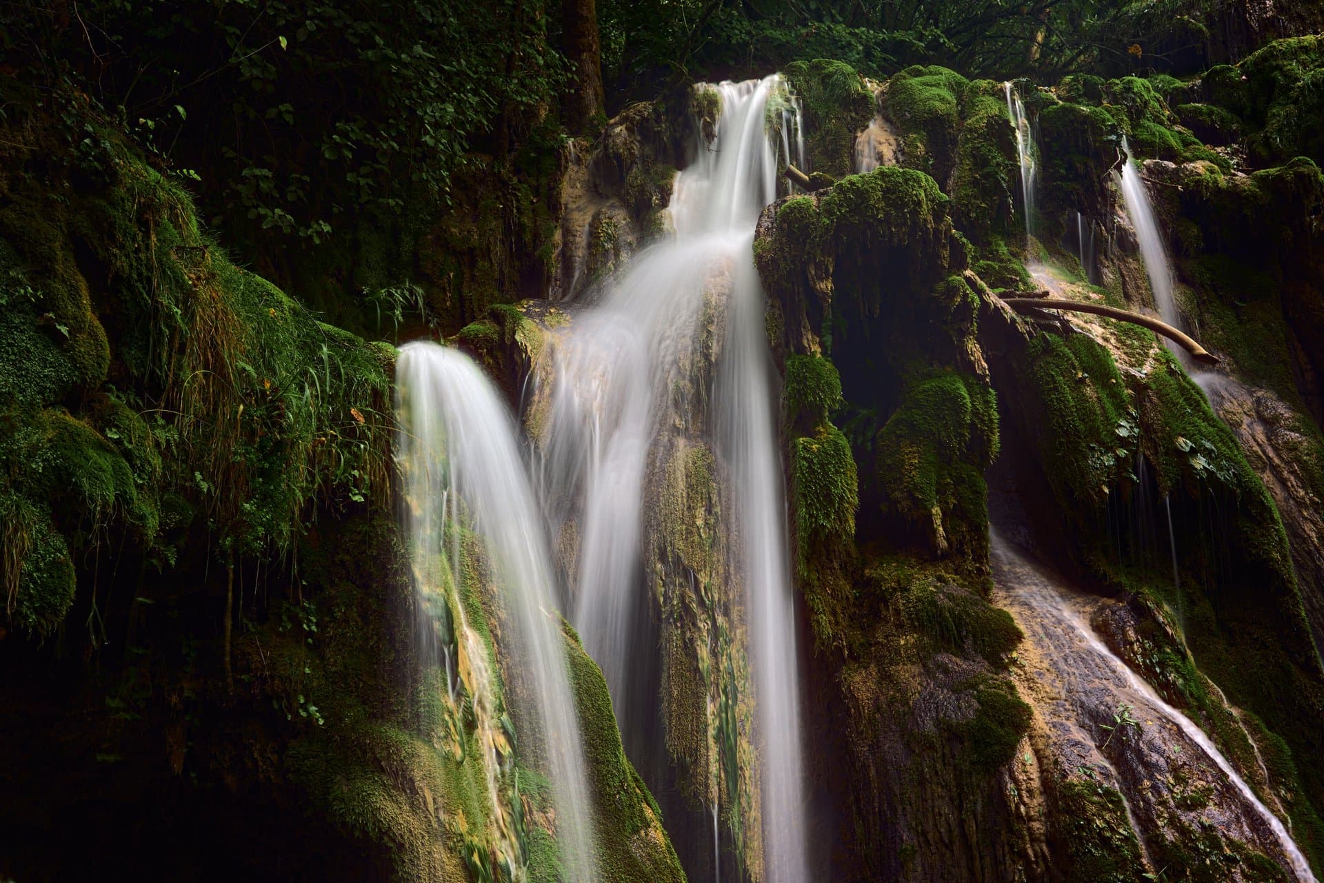 Tarsier Safaris - Murchison Falls Adventure