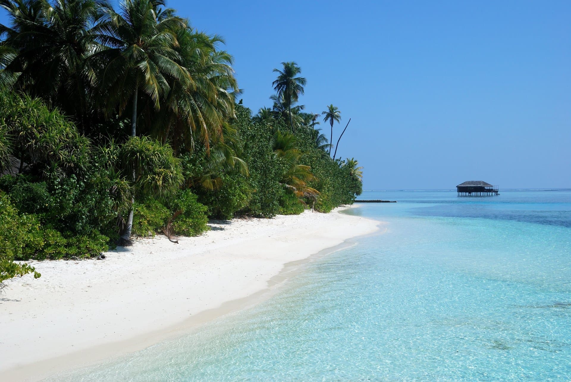 Tarsier Safaris - Tropical Island Paradise