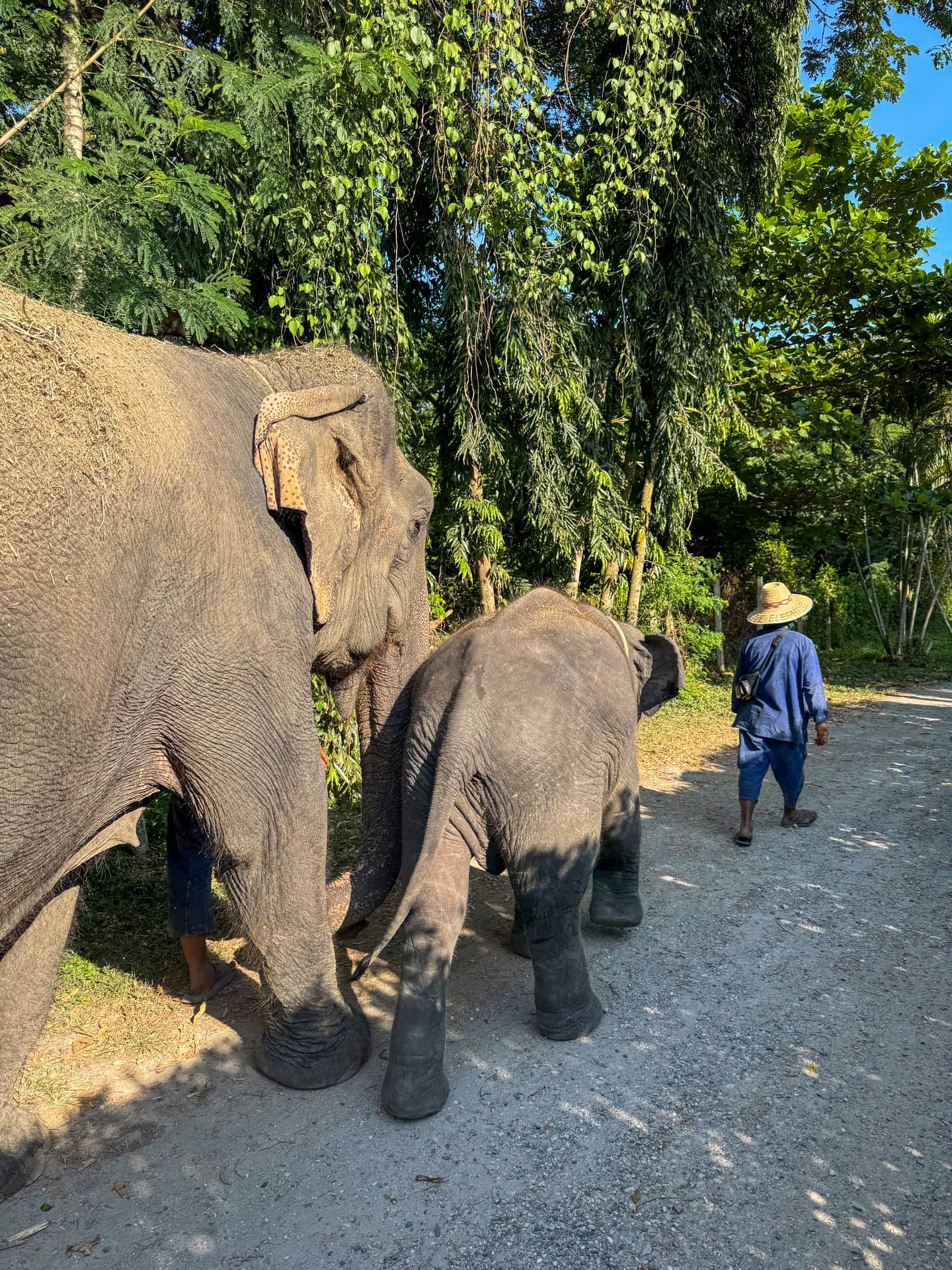 Kibale Forest National Park gallery 7