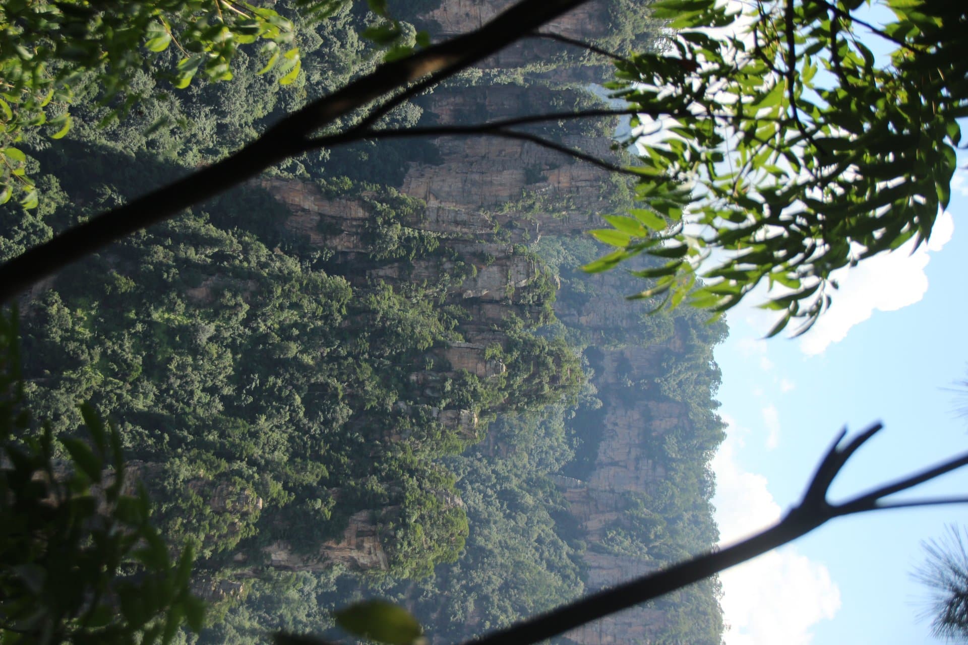 Kibale Forest National Park gallery 4