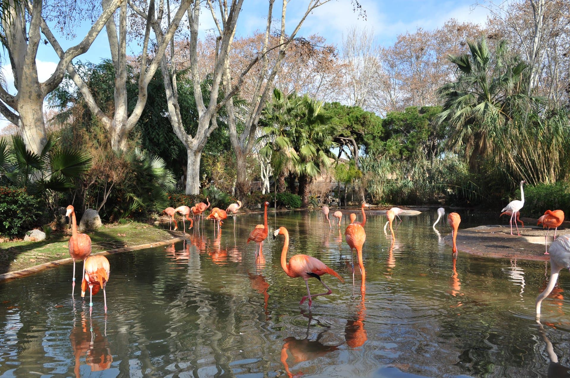Lake Nakuru National Park gallery 1
