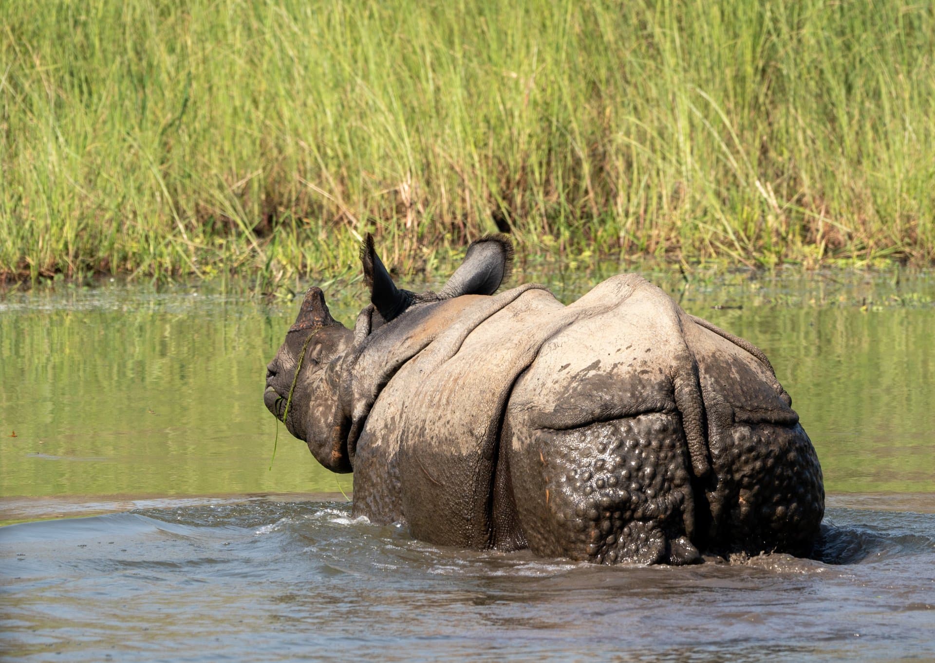 Lake Nakuru National Park gallery 4