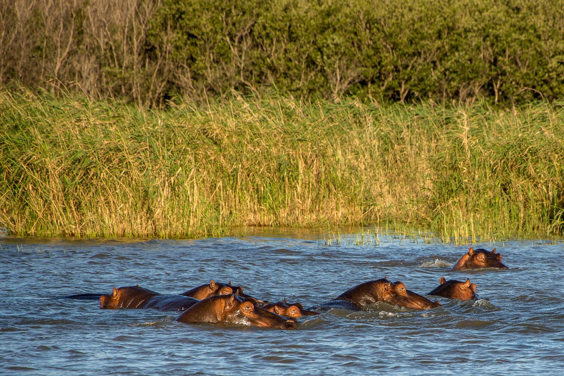Lake Nakuru National Park gallery 11