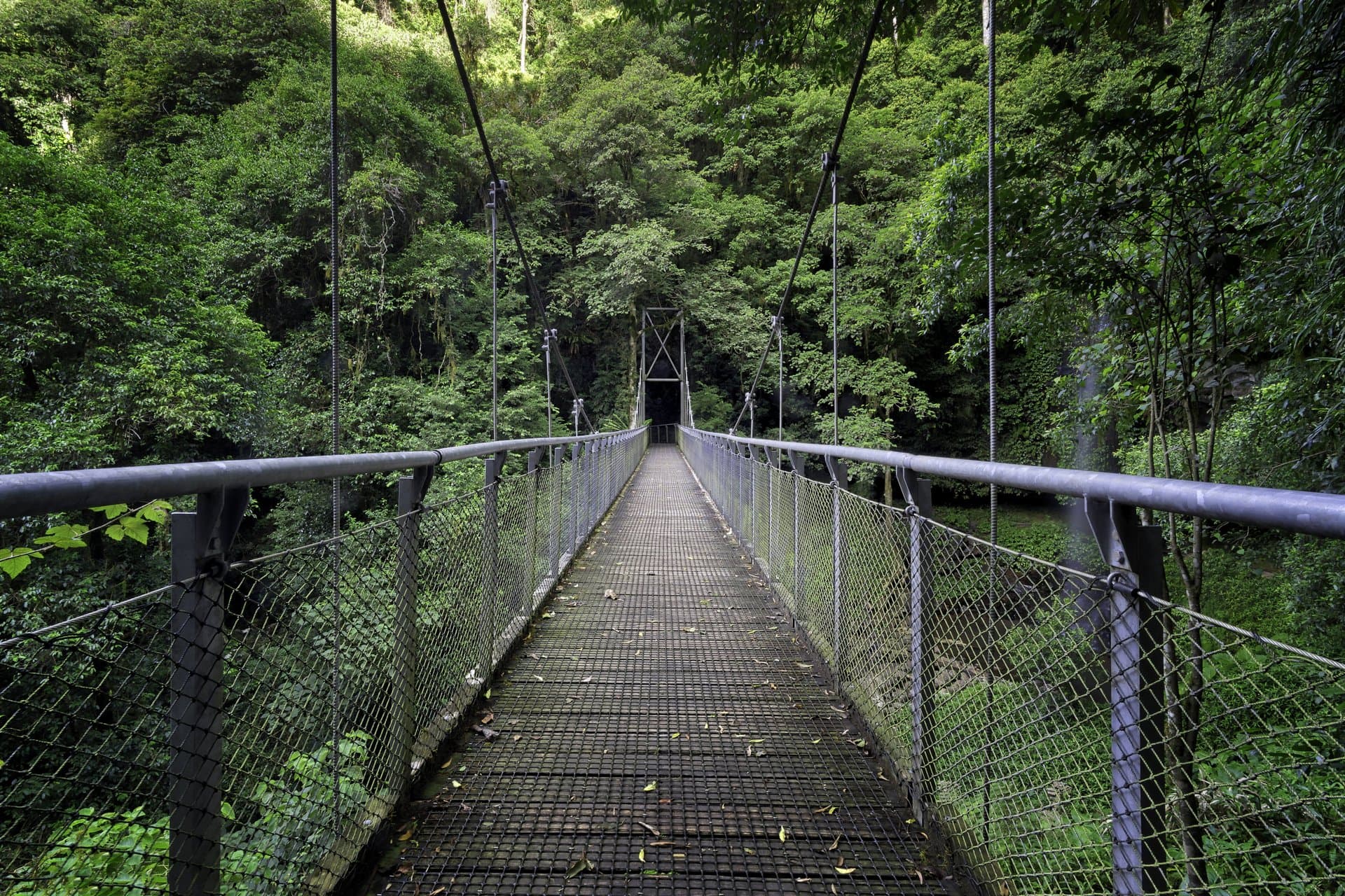 Wilderness Detox Retreat