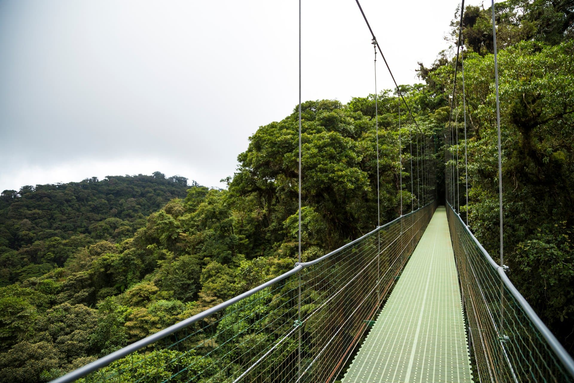 Eco Wellness Safari