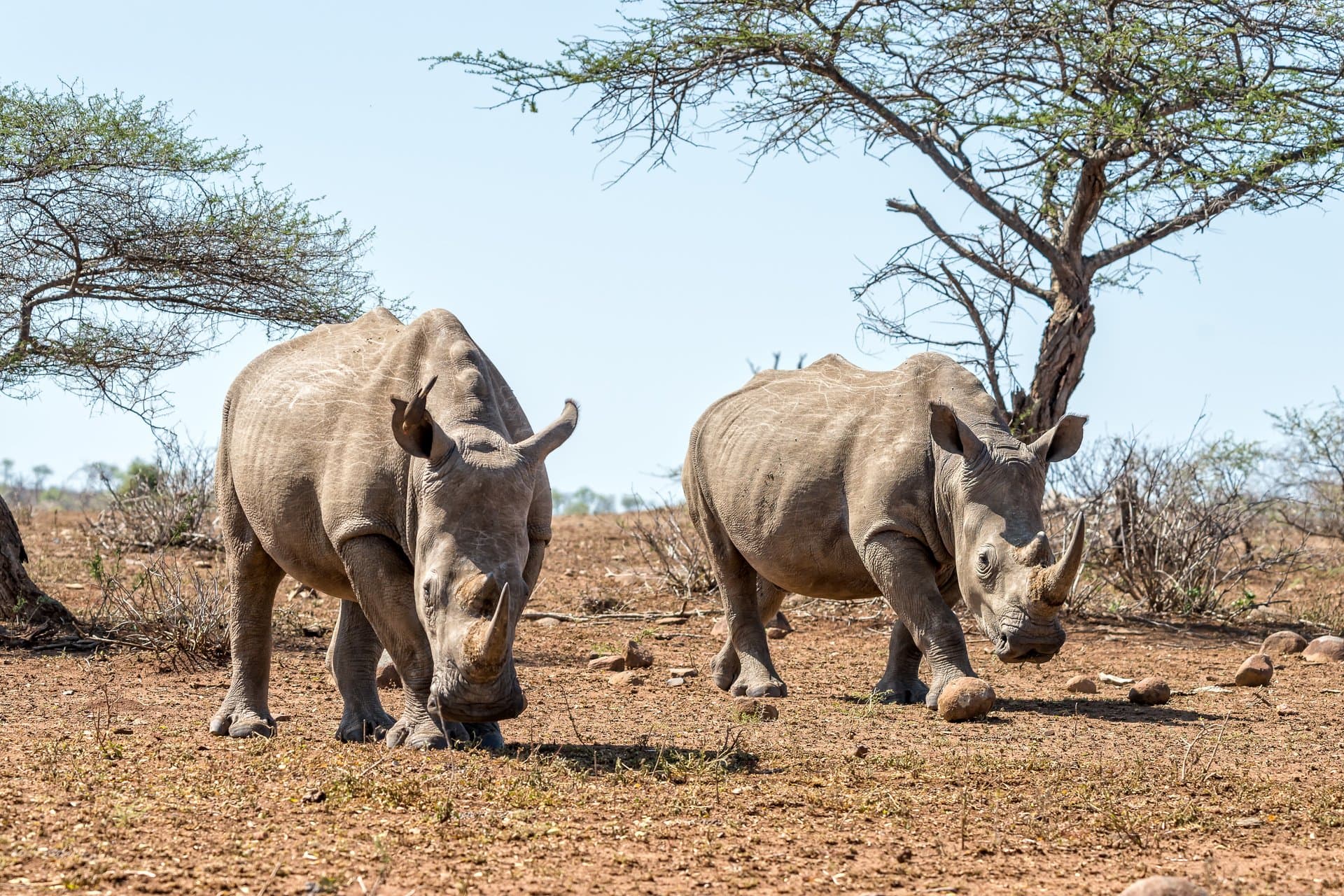Tarangire National Park