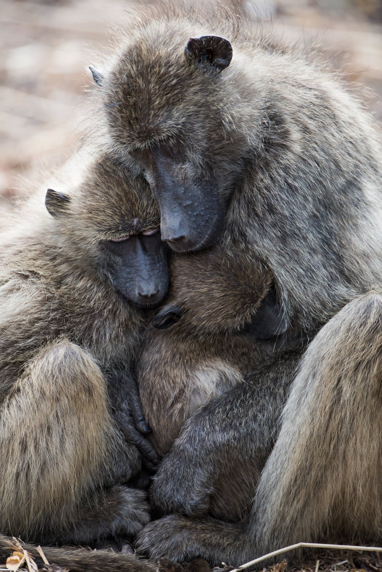 Virunga National Park
