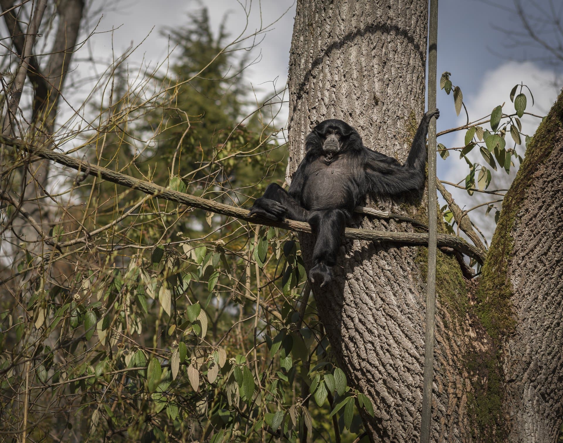 Virunga National Park gallery 3